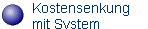Kostensenkung 
mit System